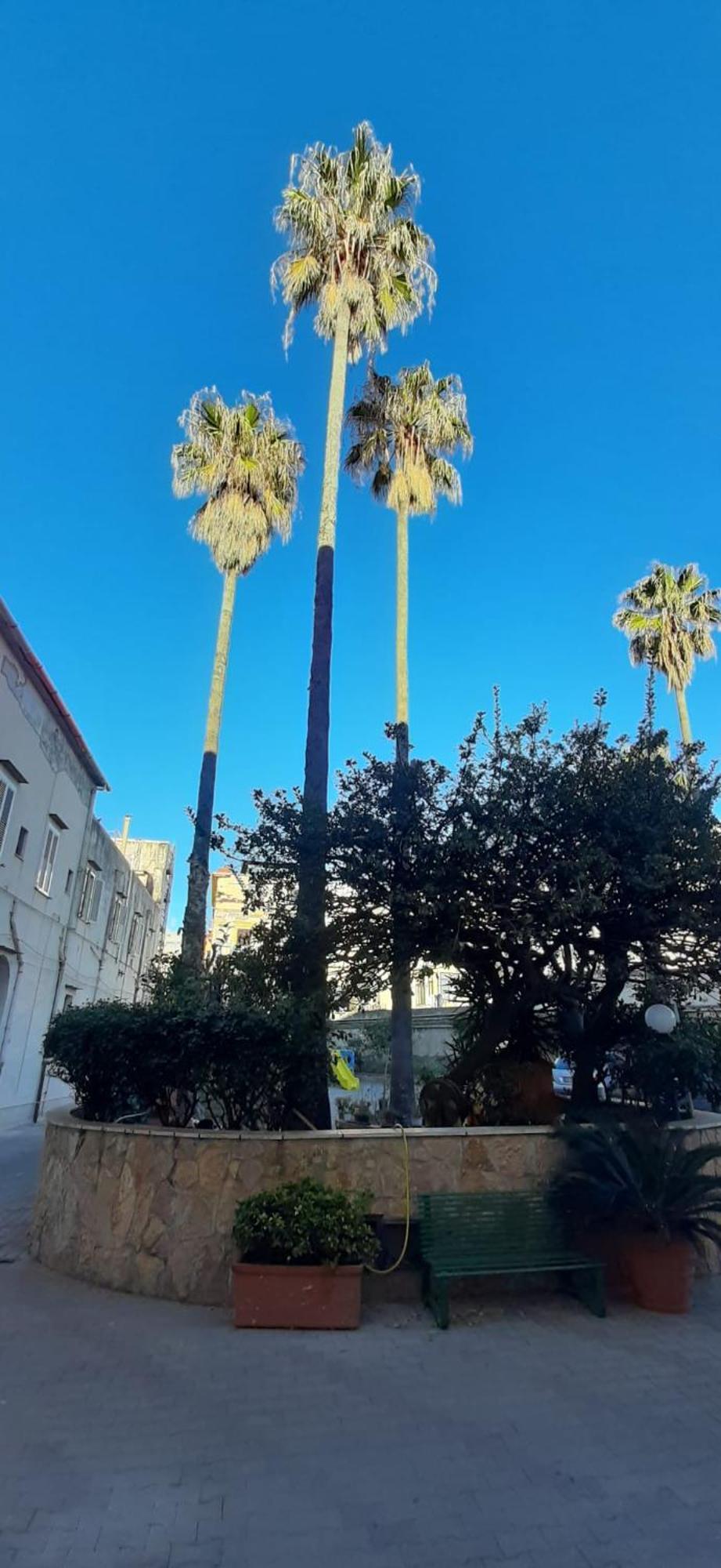 Villa Pacis Napoli Esterno foto