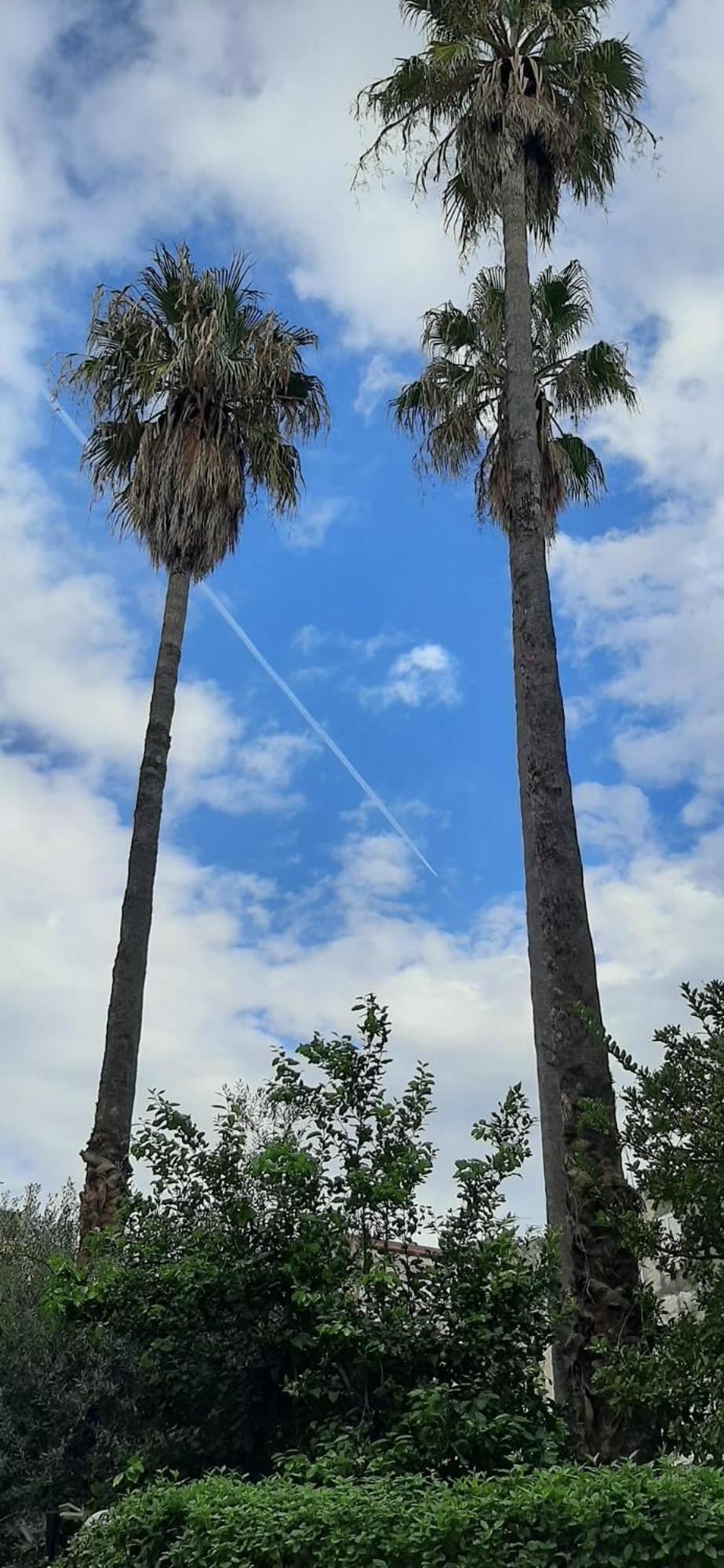 Villa Pacis Napoli Esterno foto
